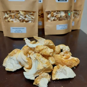 Buy Lion's mane Mushrooms Online