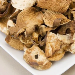 buy oyster mushrooms