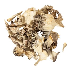 maitake mushrooms for sale