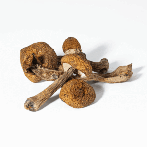 Super Thai Mushrooms​