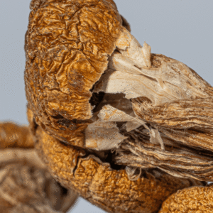 Super Thai Mushrooms​