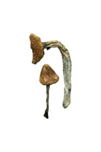 White Jedi Mind Fuck