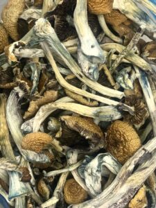 koh samui super strain