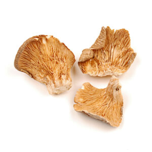 buy oyster mushrooms