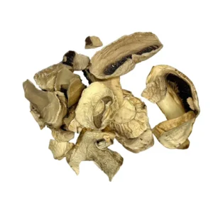 maitake mushrooms for sale
