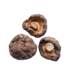 buy shiitake mushrooms