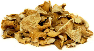 buy oyster mushrooms
