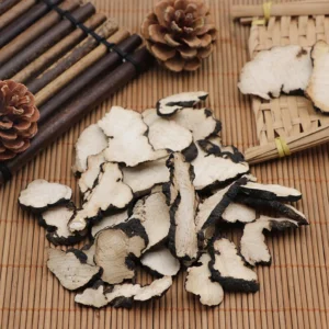 polyporus umbellatus