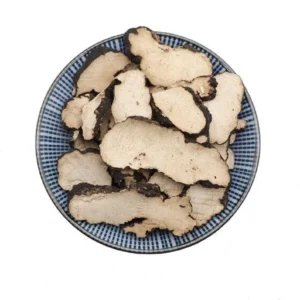 polyporus umbellatus