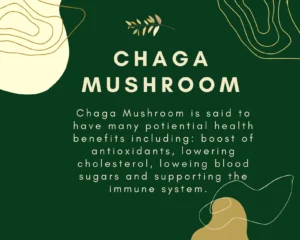 buy chaga mushroom