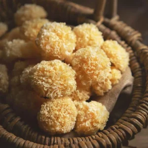 Tremella fuciformis