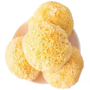 tremella fuciformis​
