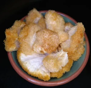lion's mane mushroom near me