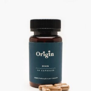 Brain Capsule
