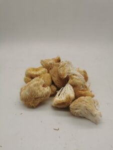 lion's mane mushroom near me