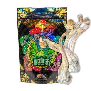 ecuadorian tri colour magic mushroom