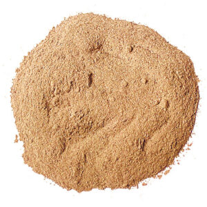 buy porcini powder