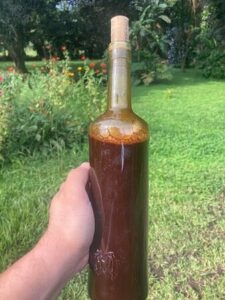 buy ayahuasca tea​
