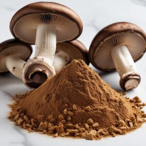 portabella mushroom powder