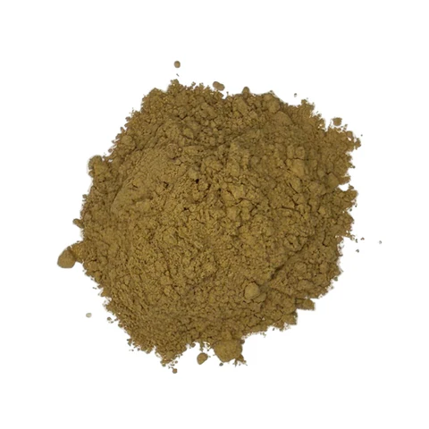buy porcini powder