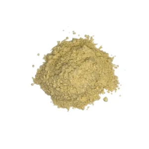 oyster mushroom powder​