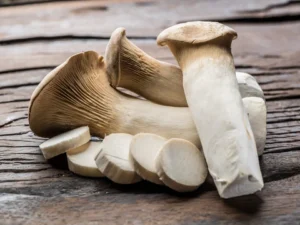 Oyster Mushroom Powder