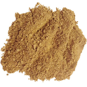 buy porcini powder