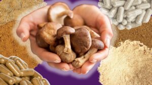 organic mushroom powder